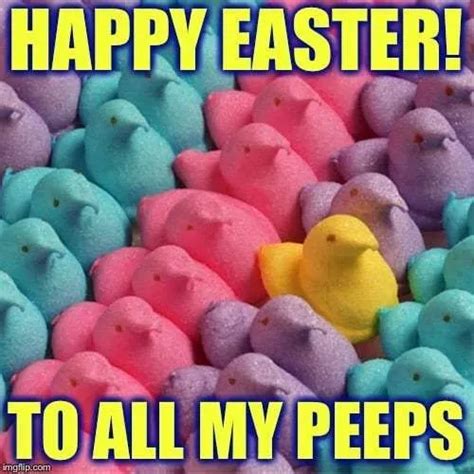 best easter memes 2024